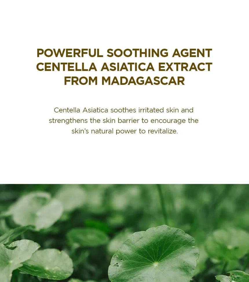 SKIN 1004 Madagascar Centella Asiatica 100 Ampoule